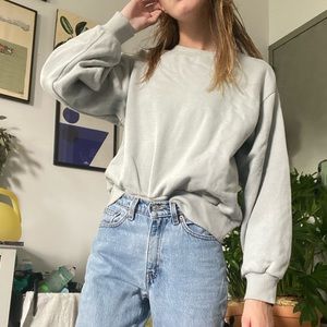 Blue/green Everlane pullover sweatshirt